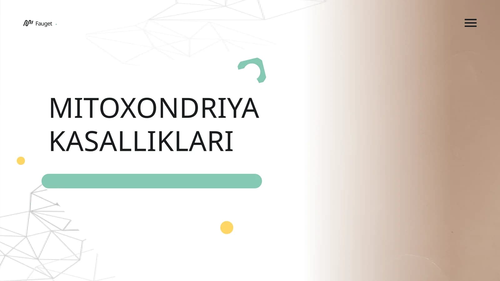 Mitoxondriya kasalliklari