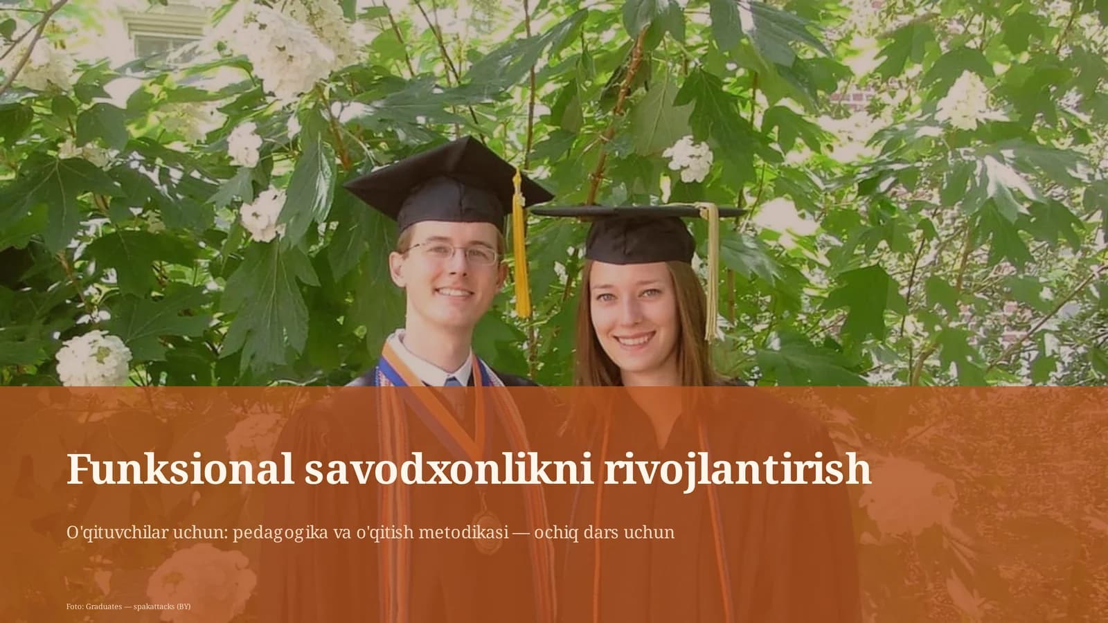 Funksional savodxonlikni rivojlantirish