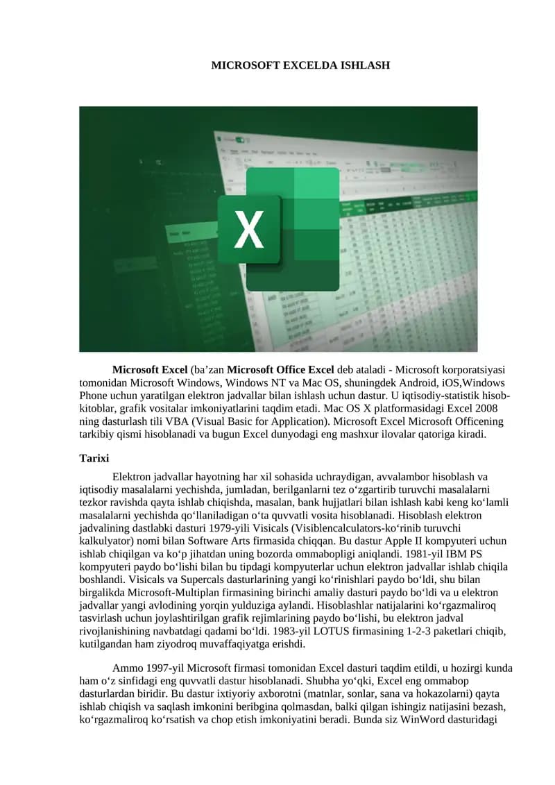 Microsoft Excel