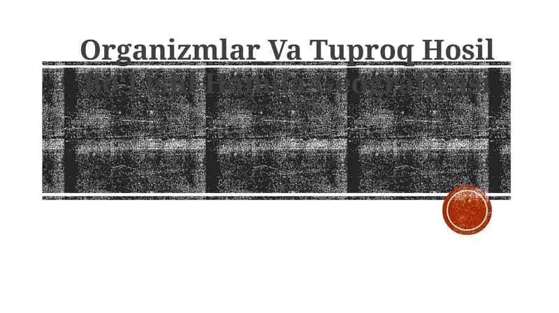 Organizmlar Va Tuproq Hosil BoʻLishi Hamda Geografiyasi