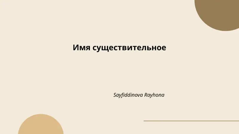 Имя существительное
