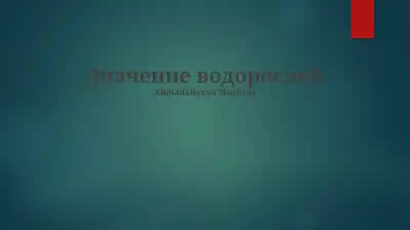 Значение водорослей