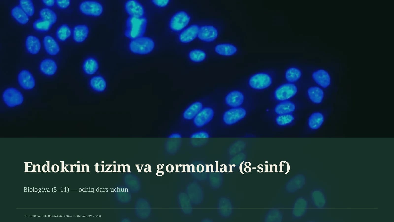 Endokrin tizim va gormonlar (8-sinf)