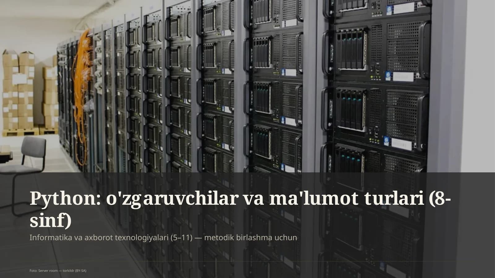 Python: o'zgaruvchilar va ma'lumot turlari (8-sinf)