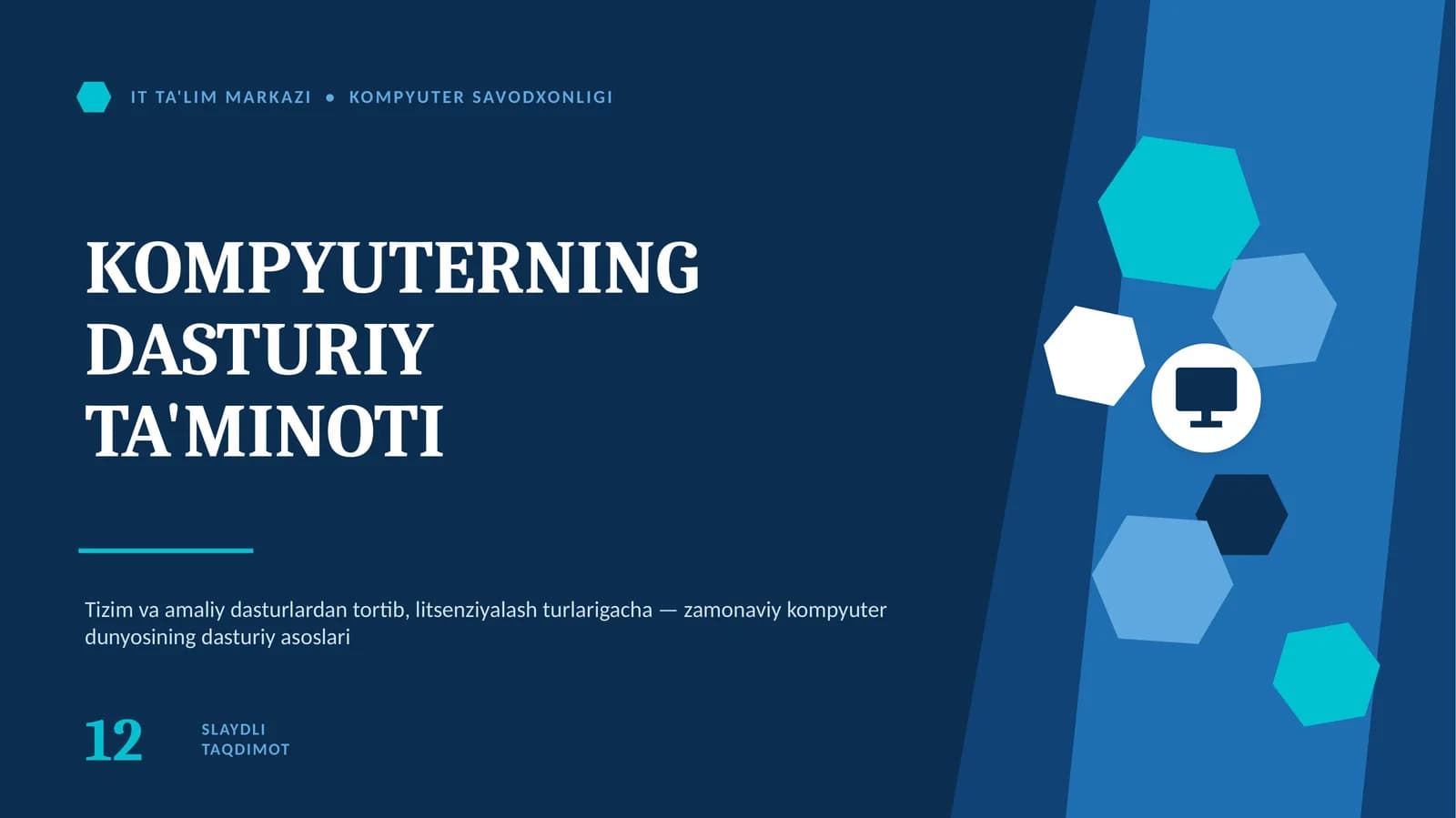 Dasturiy ta'minot nima?