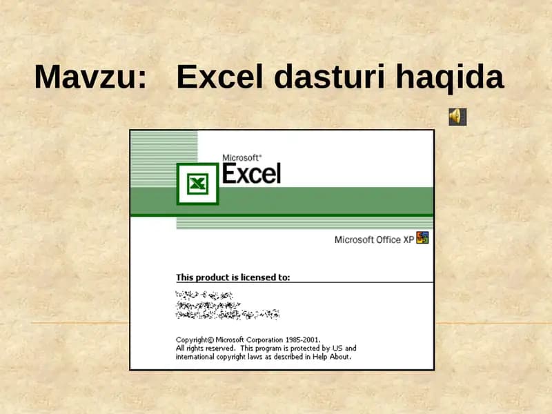 Excel dasturi haqida