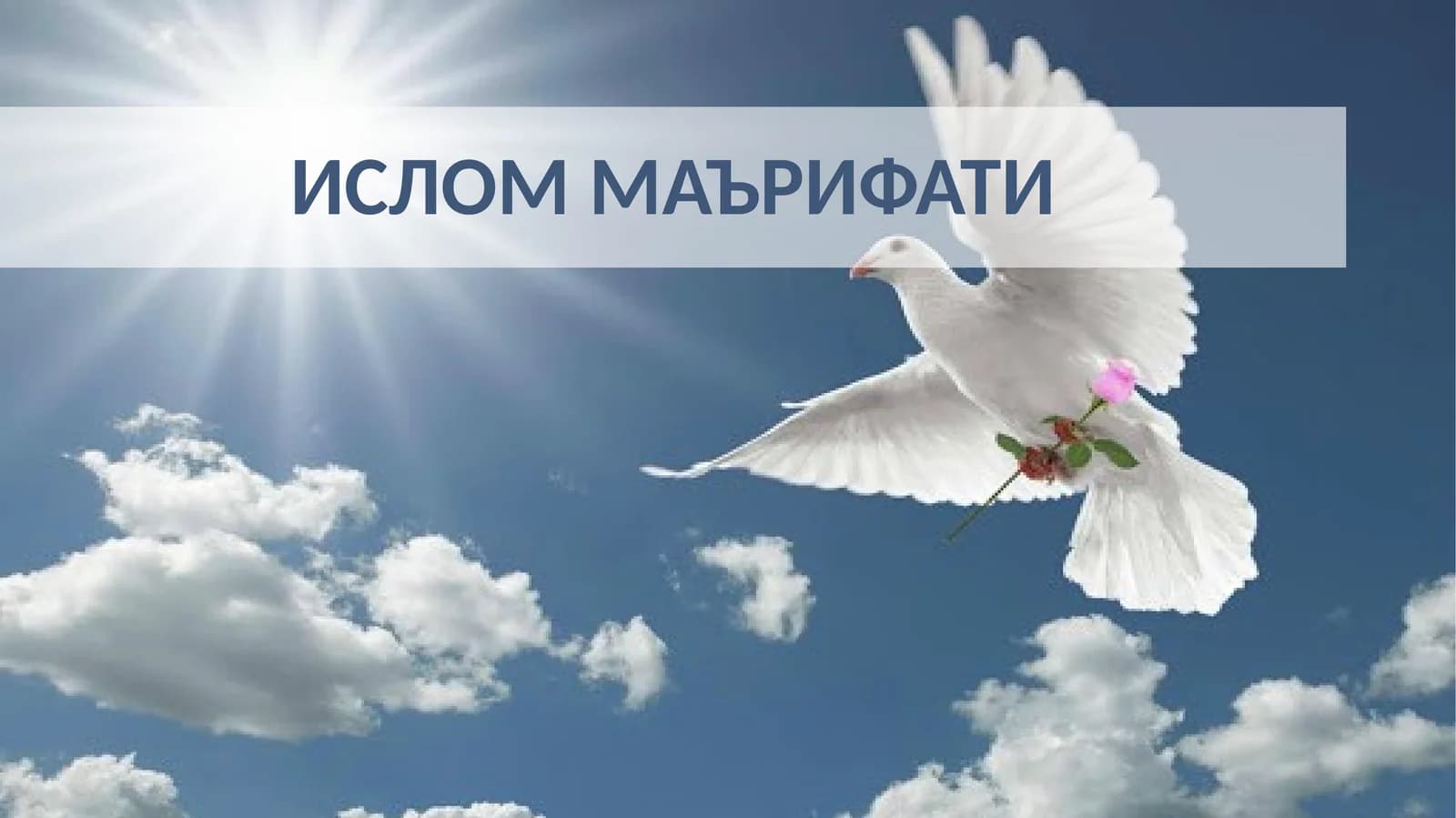 Ислом Маърифати