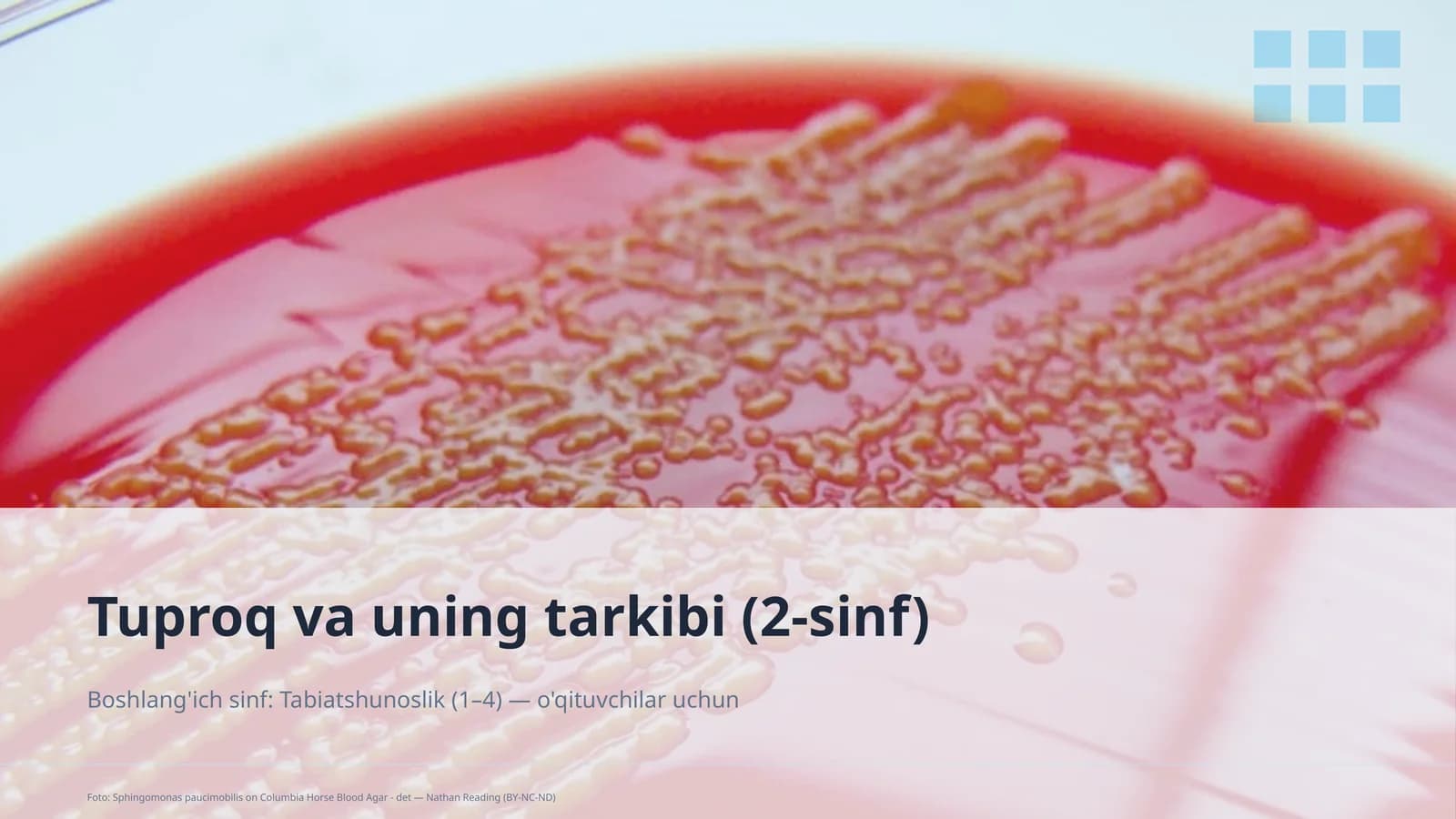 Tuproq va uning tarkibi (2-sinf)
