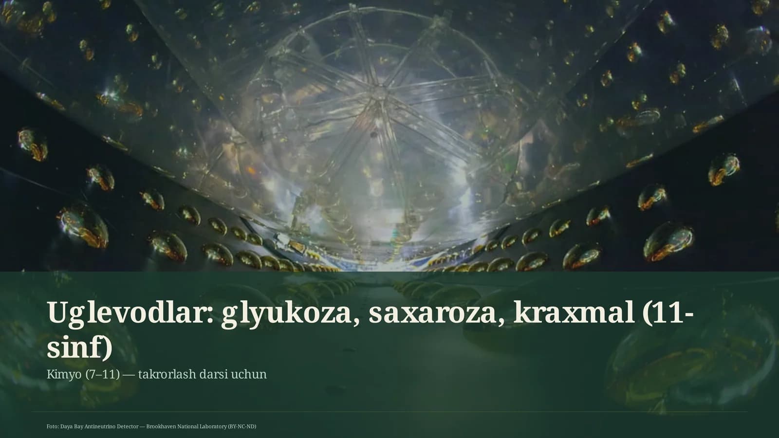 Uglevodlar: glyukoza, saxaroza, kraxmal (11-sinf)