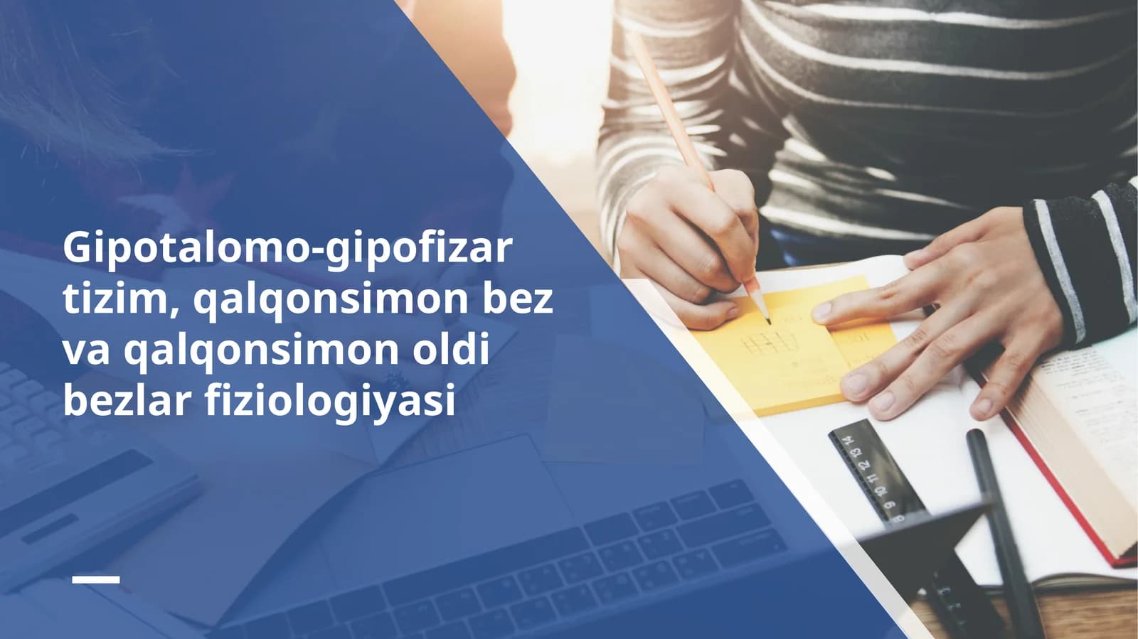 gipotalomo_gipofizar_tizim