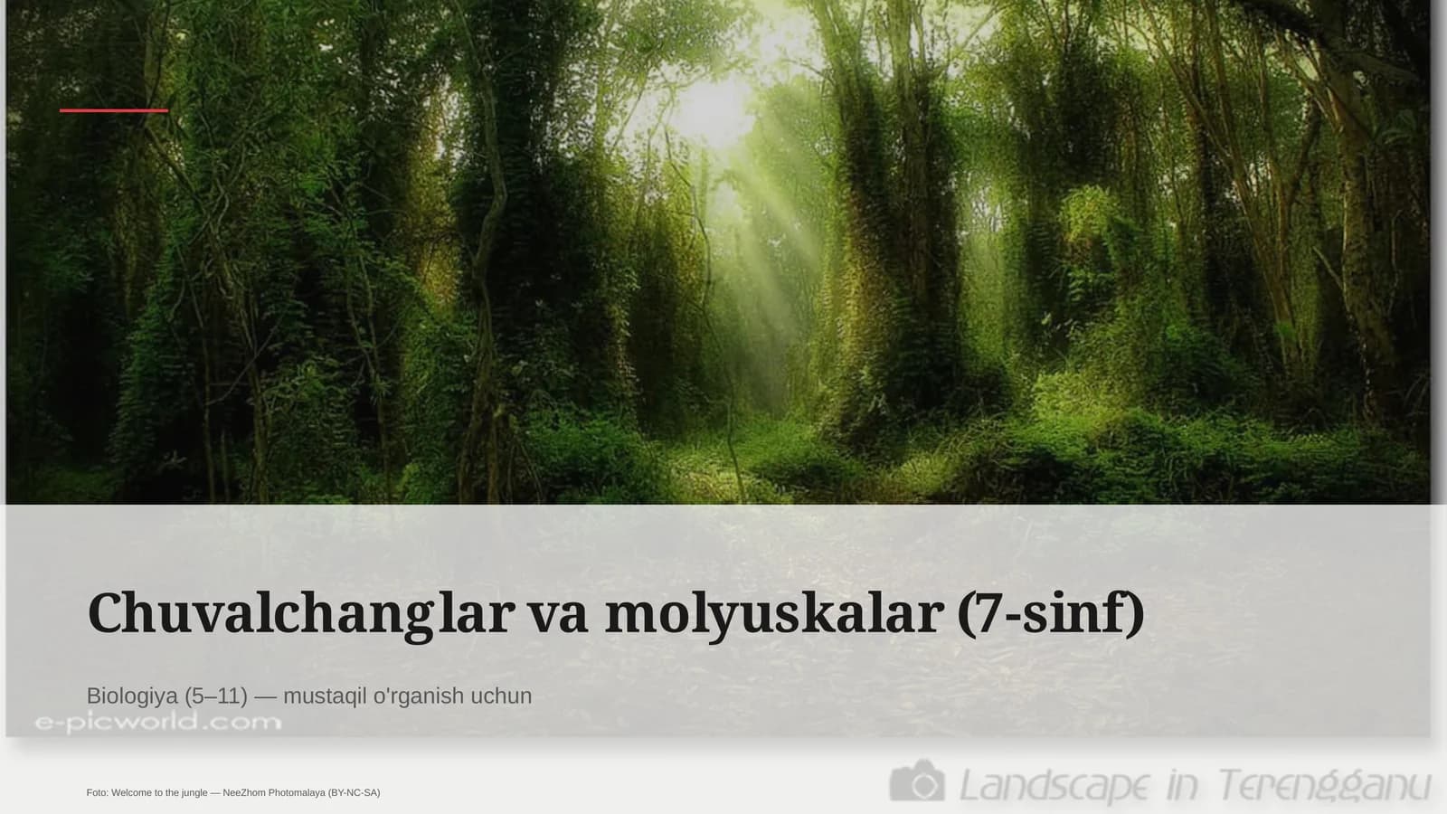 Chuvalchanglar va molyuskalar (7-sinf)
