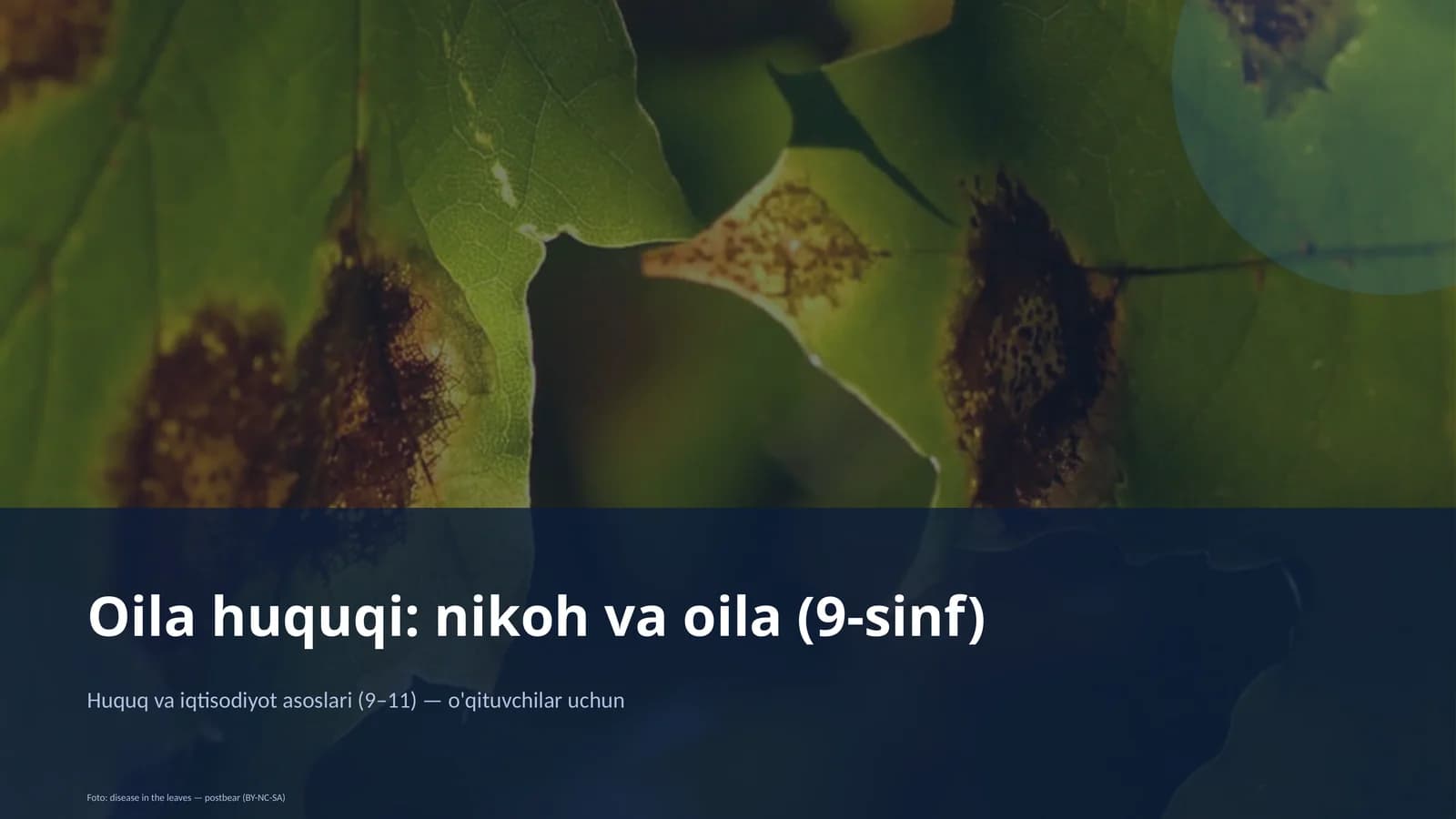 Oilа huquqi: nikoh va oila (9-sinf)