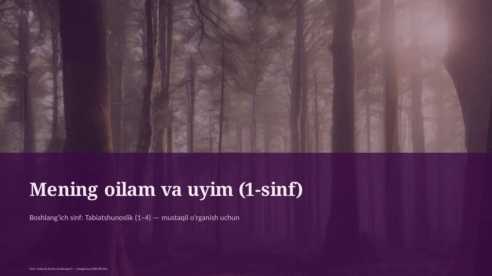 Mening oilam va uyim (1-sinf)