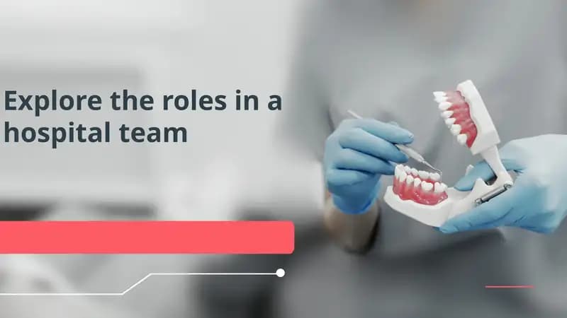 Explore the roles in a hospital team