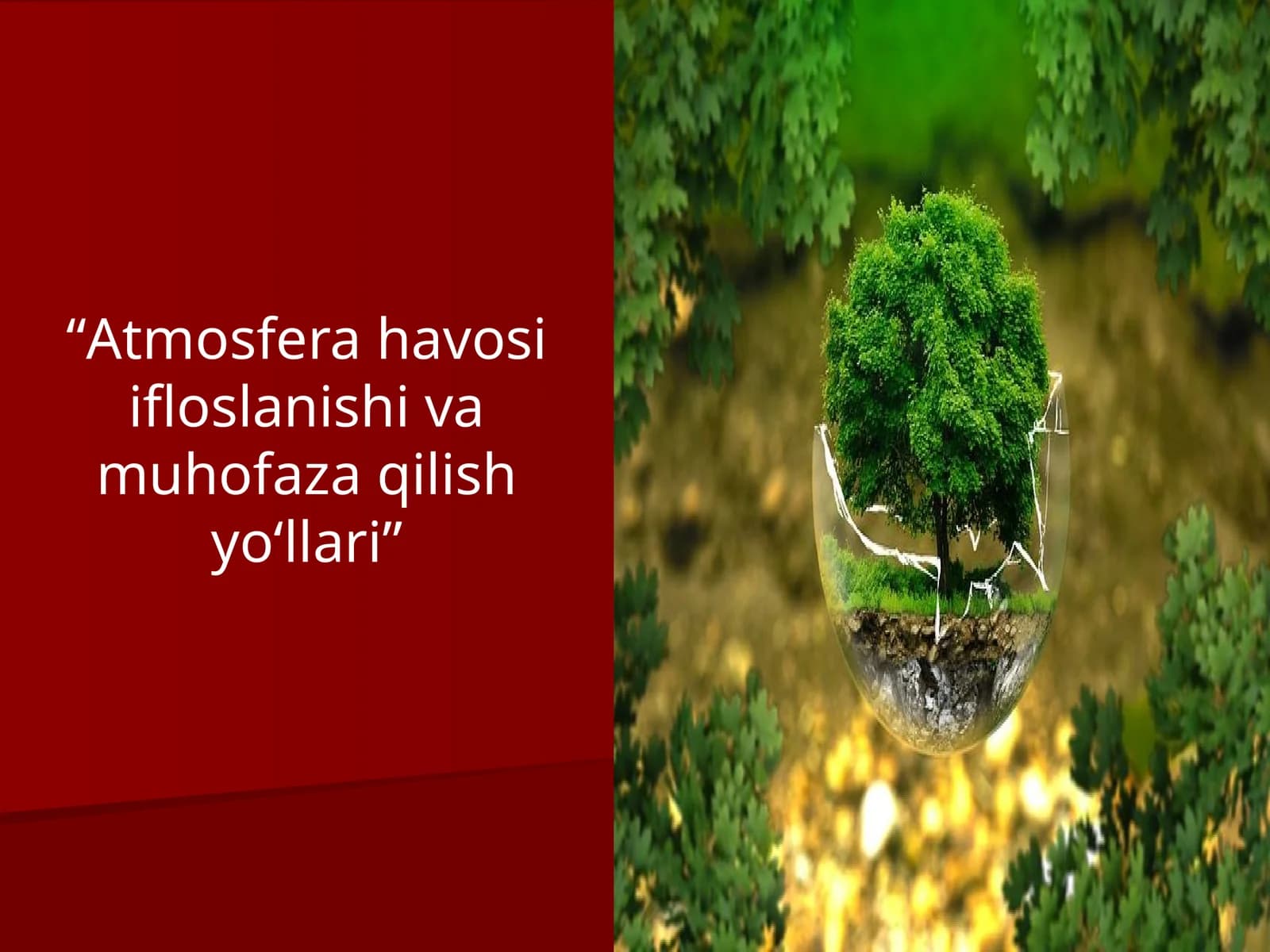 Atmosfera havosi ifloslanishi va muhofaza qilish yo‘llari