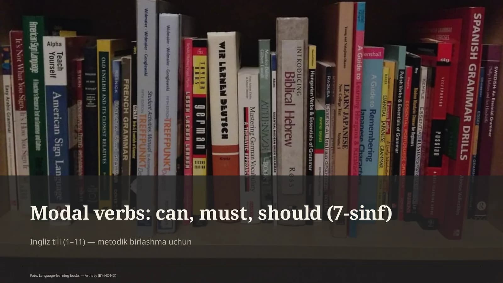 Modal verbs: can, must, should (7-sinf)
