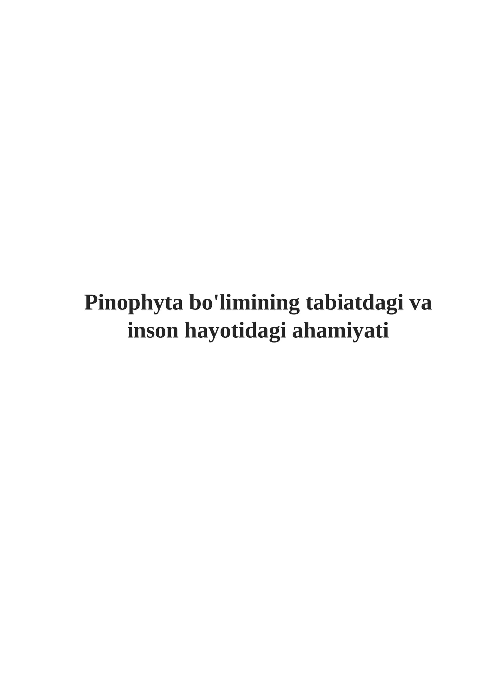 Pinophyta bo'limining tabiatdagi va inson hayotidagi ahamiyati