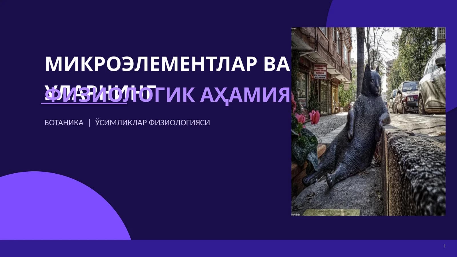 МИКРОЭЛЕМЕНТЛАР ВА УЛАРНИНГ ФИЗИОЛОГИК АҲАМИЯТИ