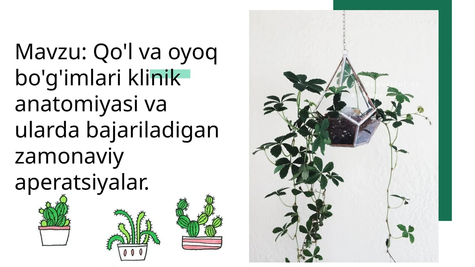 Qo‘l va oyoq bo'g'imlari klinik anatomiyasi va ularda bajariladigan zamonaviy aperatsiyalar