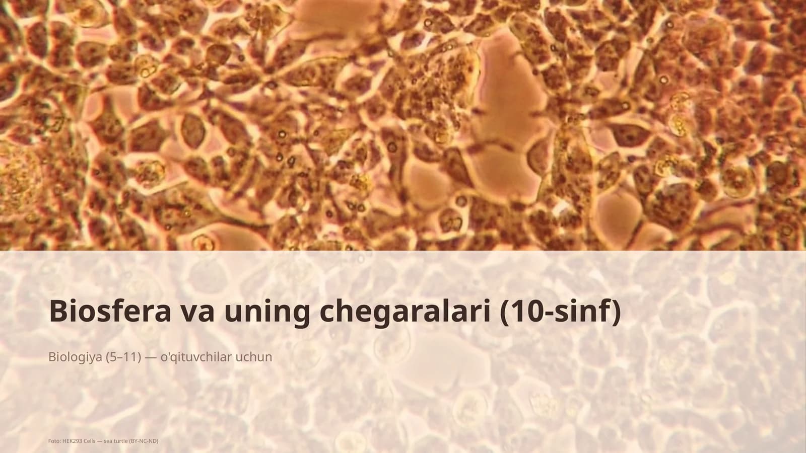 Biosfera va uning chegaralari (10-sinf)