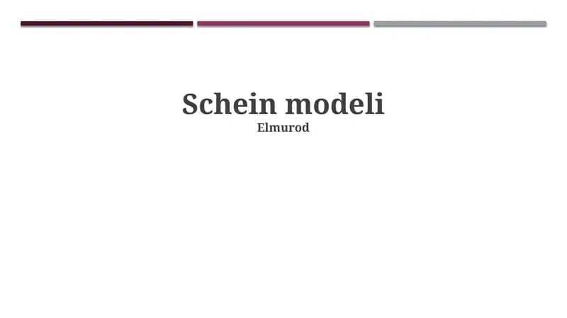 Schein modeli