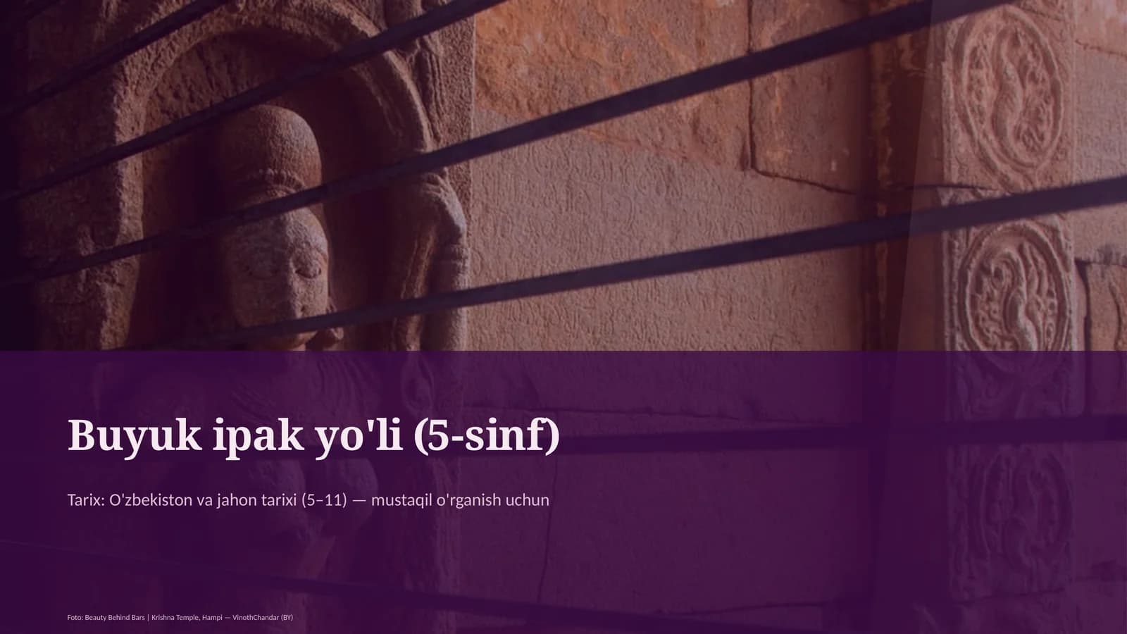 Buyuk ipak yo'li (5-sinf)
