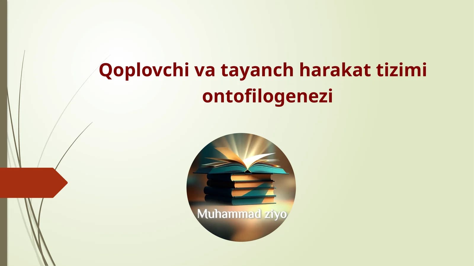 Qoplovchi va tayanch harakat tizimi ontofilogenezi