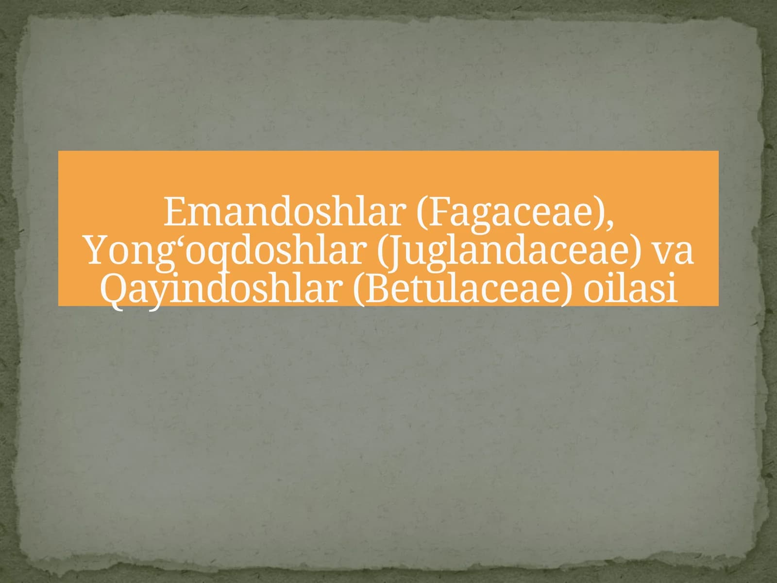 Emandoshlar (Fagaceae), Yong‘oqdoshlar (Juglandaceae) va Qayindoshlar (Betulaceae) oilasi