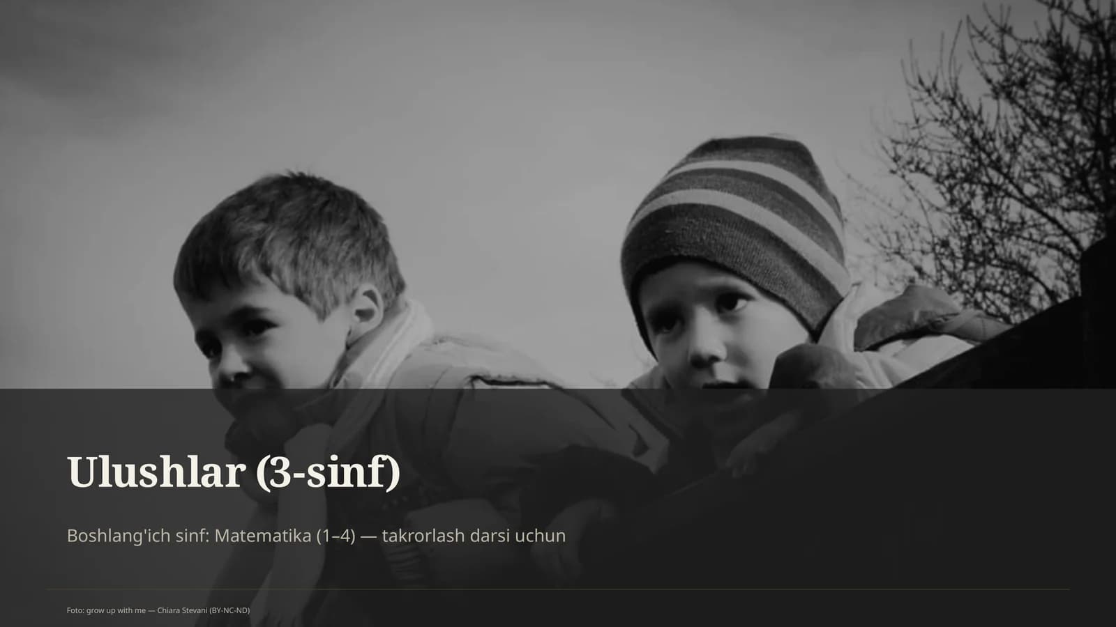 Ulushlar (3-sinf)