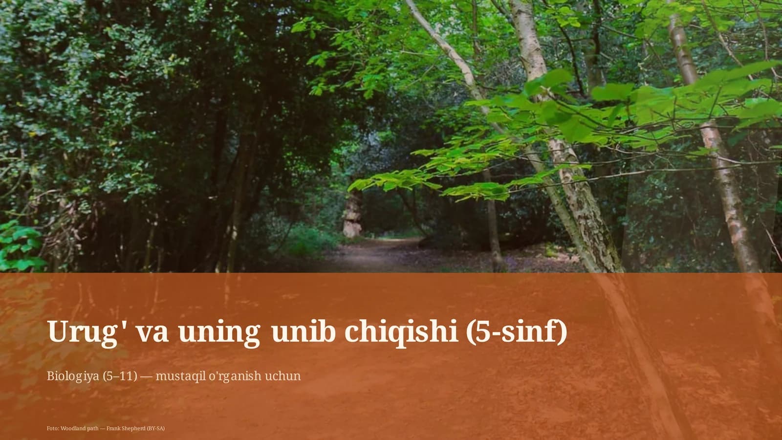Urug' va uning unib chiqishi (5-sinf)