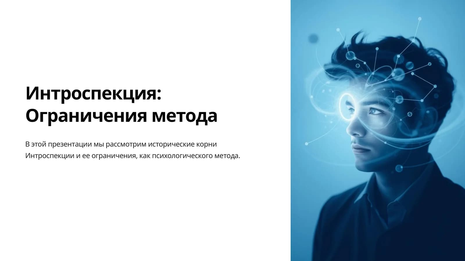 Интроспекция Ограничения метода