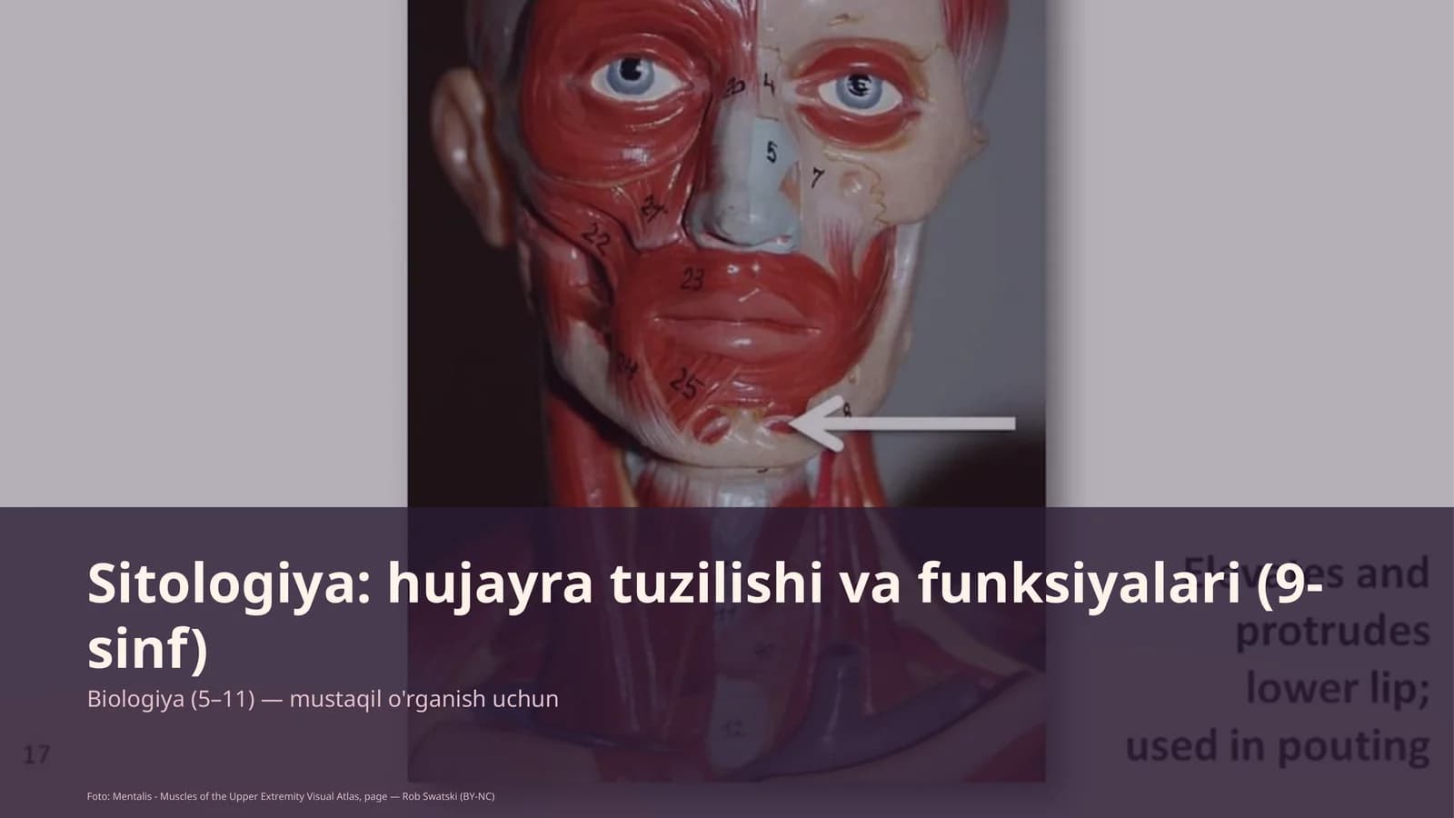 Sitologiya: hujayra tuzilishi va funksiyalari (9-sinf)