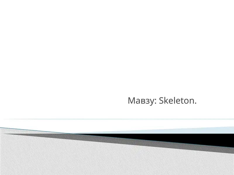 Skeleton