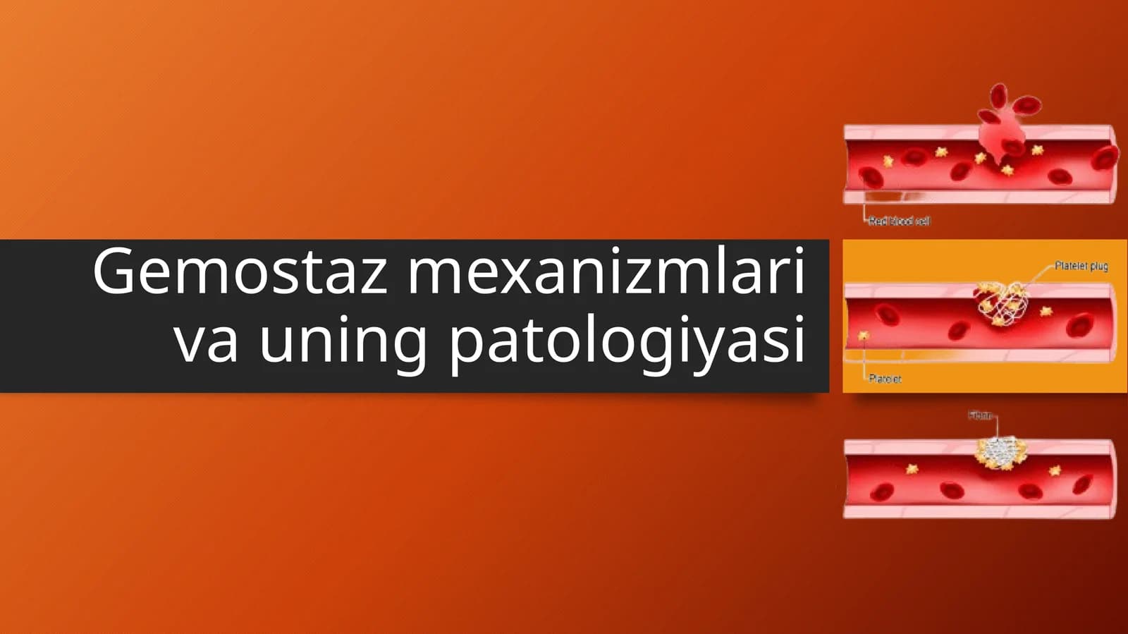 Gemostaz mexanizmlari va uning patologiyasi