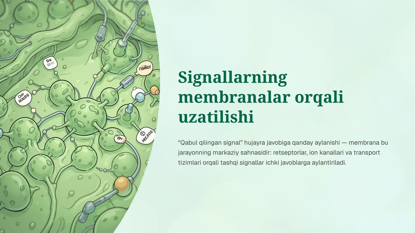 Signallarni membrana orqali uzatilishi