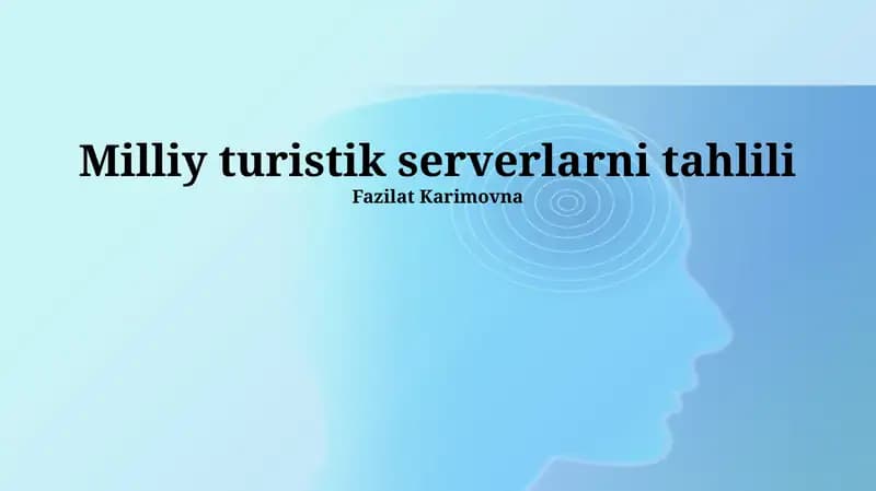 Milliy Turizm Serverlarini Tahlil Qilish