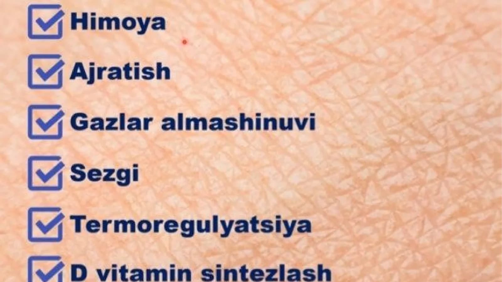 teri bezlari