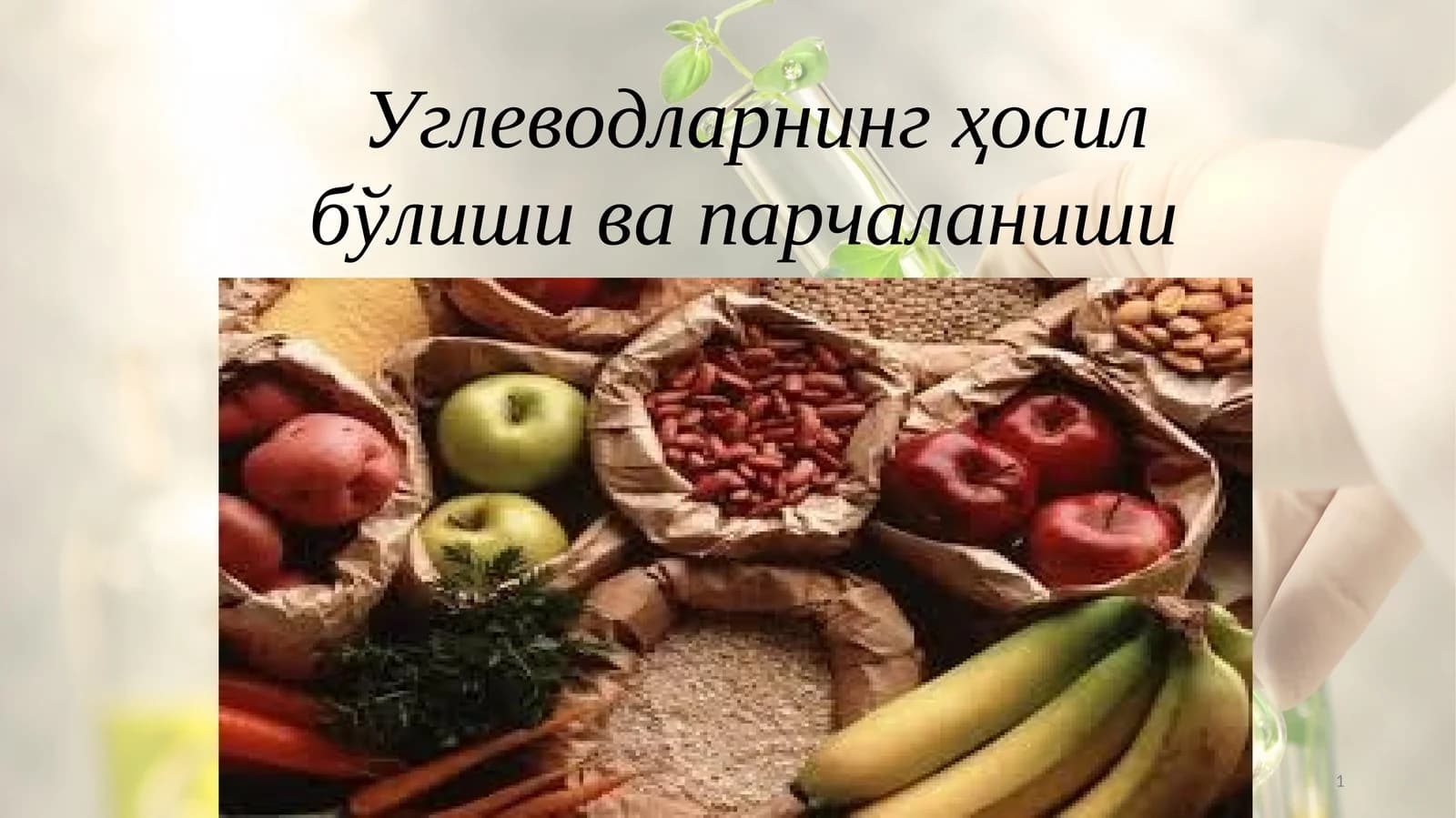 Углеводларнинг ҳосил бўлиши ва парчаланиши