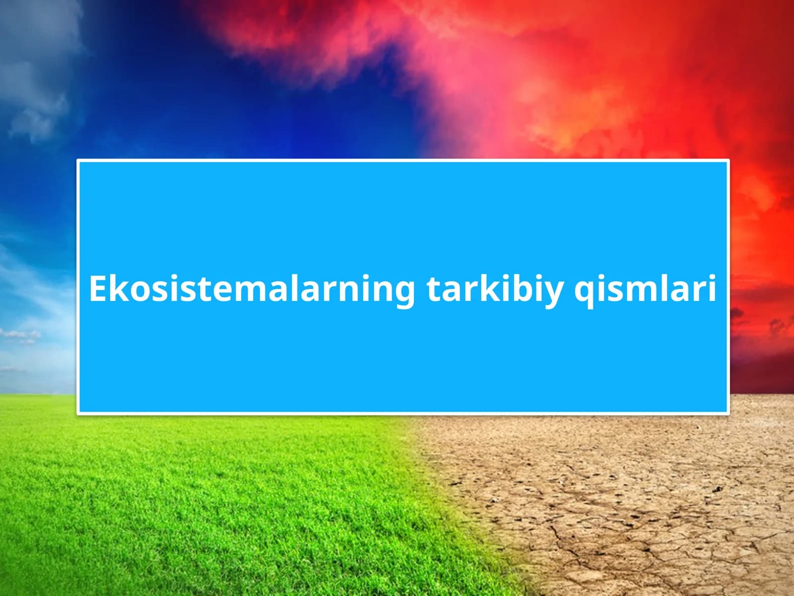 Ekosistemalarning tarkibiy qismlari