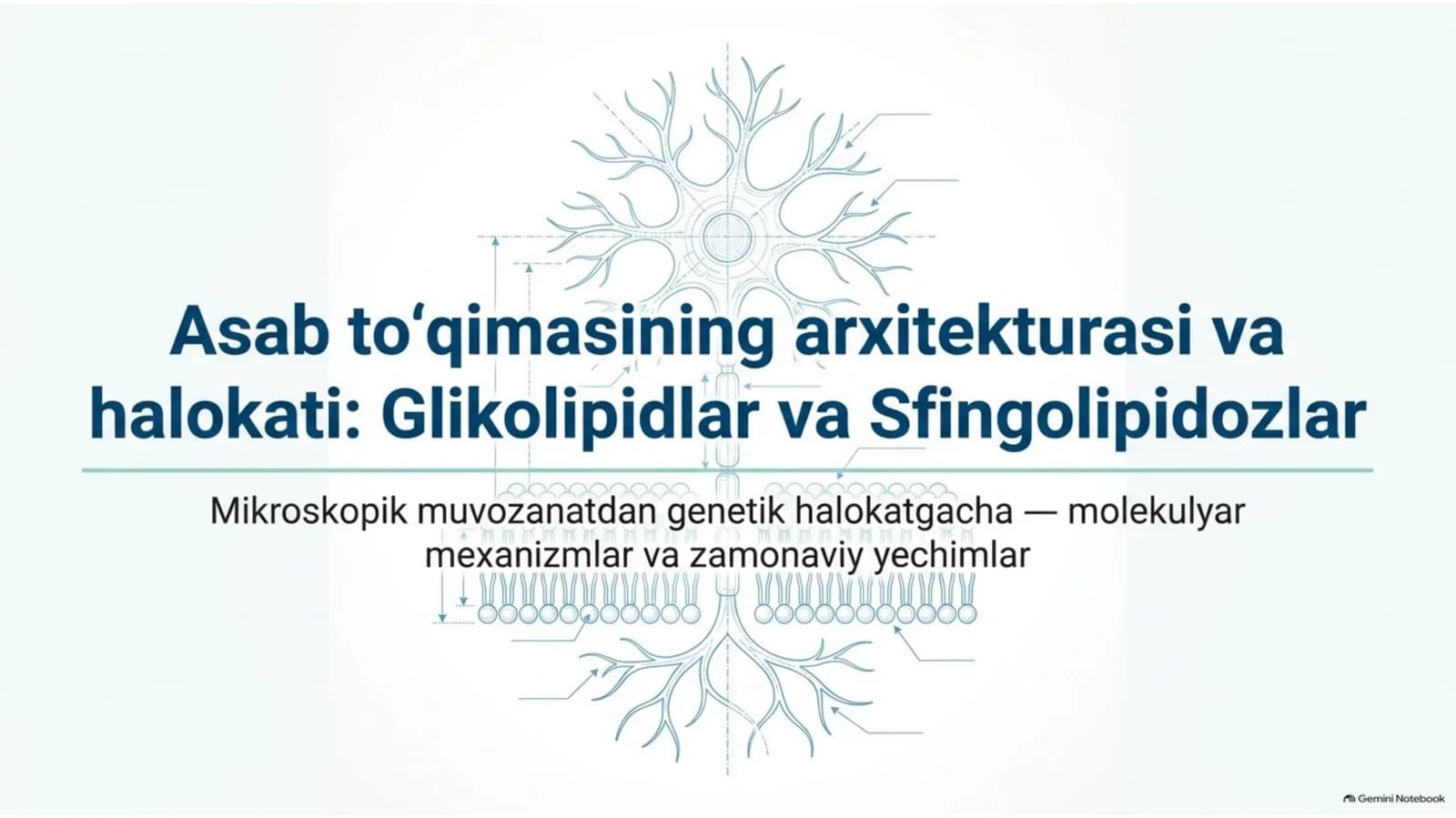 Nerv to‘qimasining asosiy glikolipidlari — 15 slayd