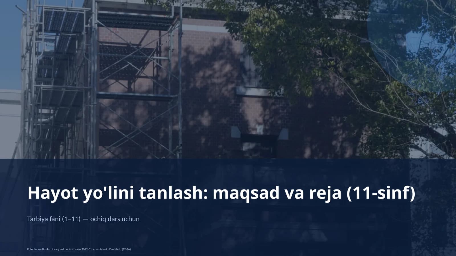 Hayot yo'lini tanlash: maqsad va reja (11-sinf)