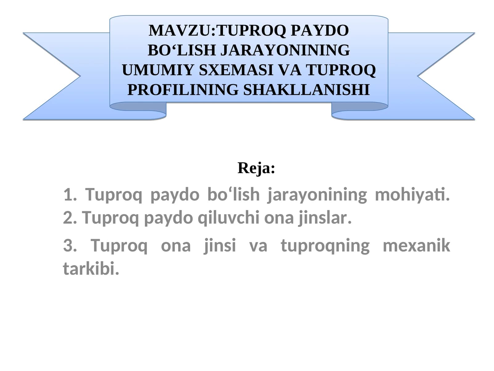 TUPROQ PAYDO BO‘LISH JARAYONINING UMUMIY SXEMASI VA TUPROQ PROFILINING SHAKLLANISHI