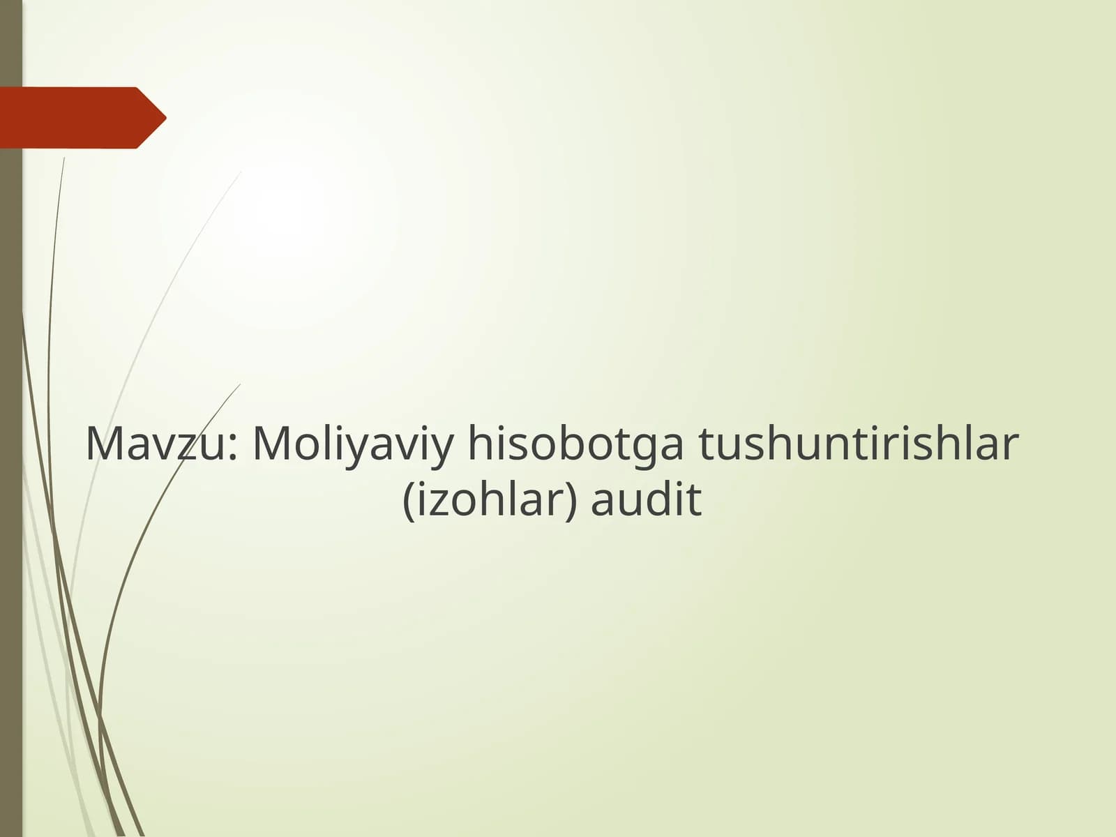 Moliyaviy hisobotga tushuntirishlar(izohlar) audit