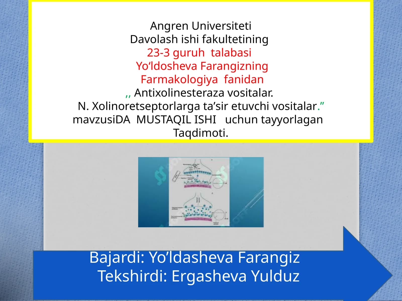 DAMUSTAQIL ISHI