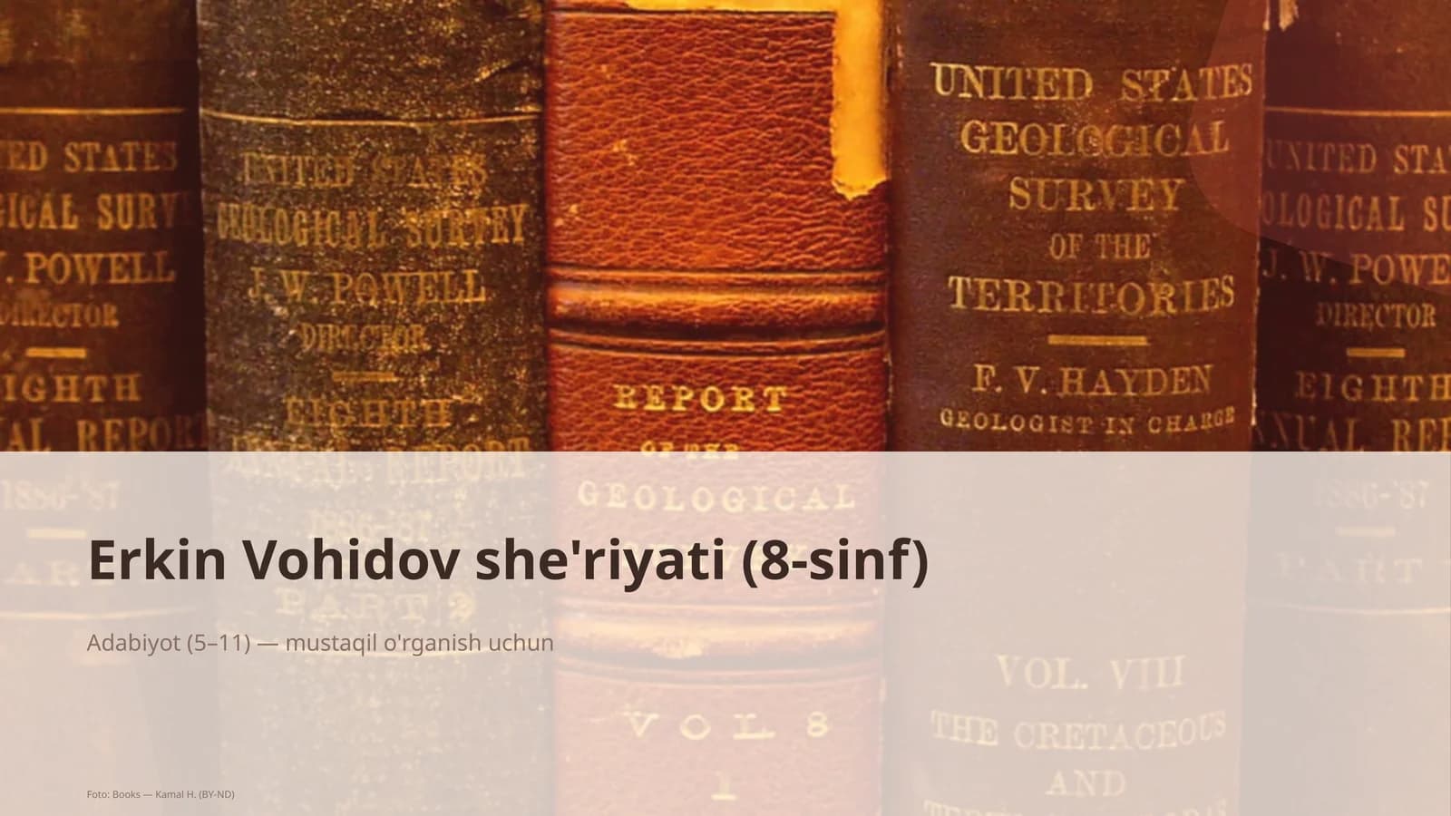 Erkin Vohidov she'riyati (8-sinf)