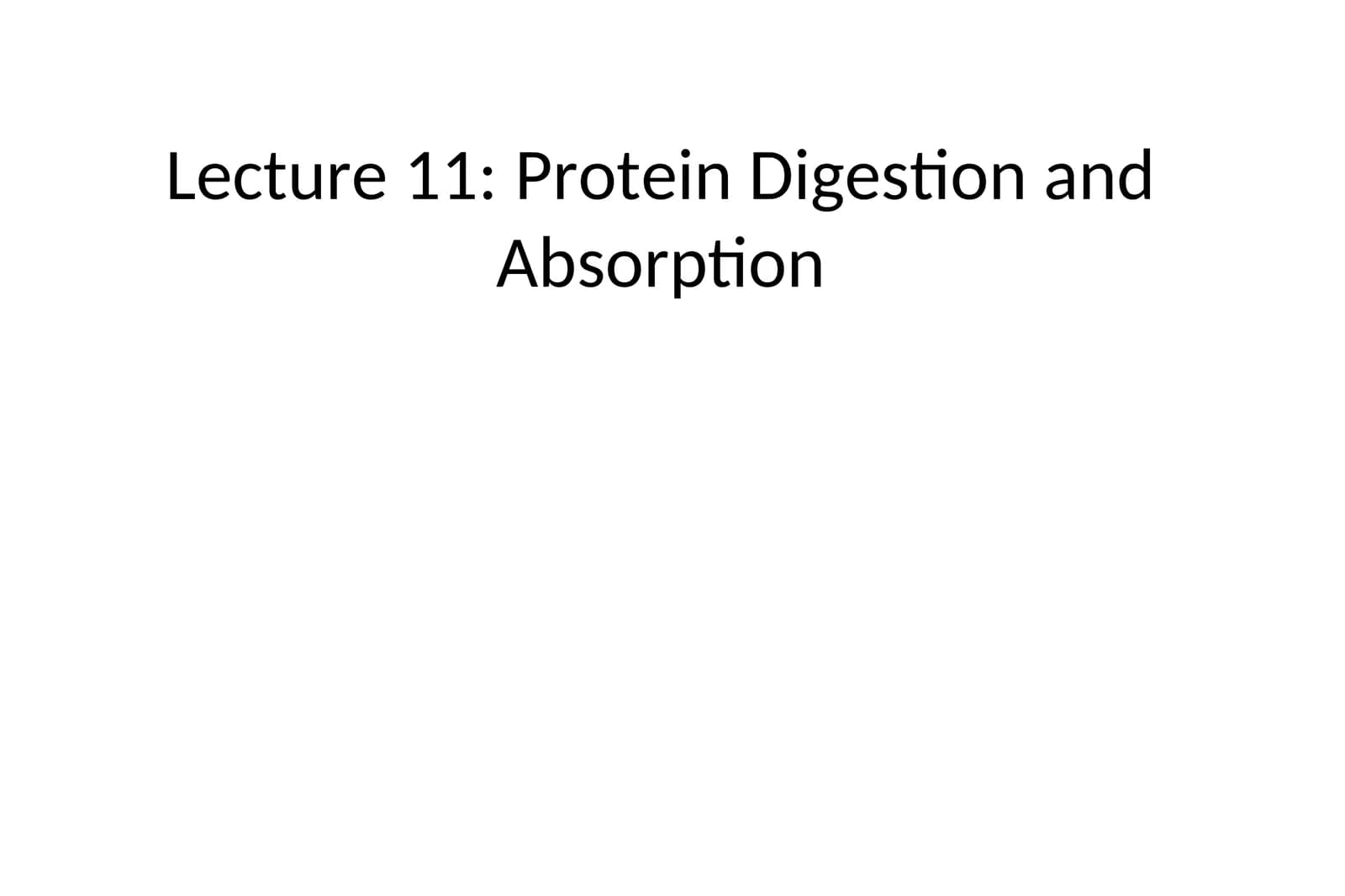 Protein Digestion and Absorption