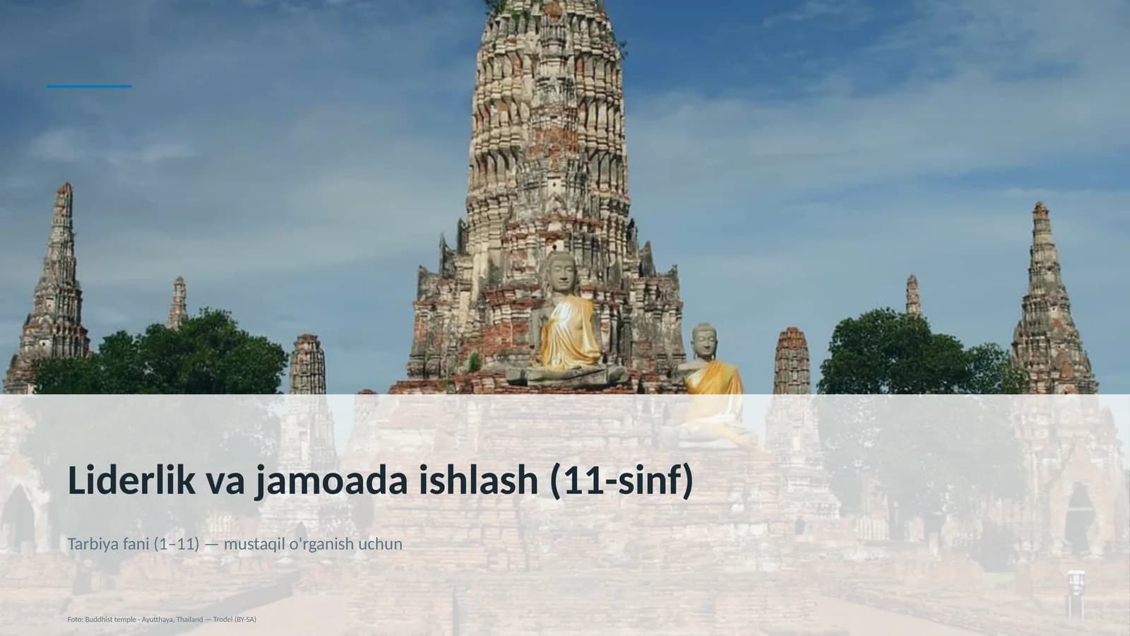 Liderlik va jamoada ishlash (11-sinf)