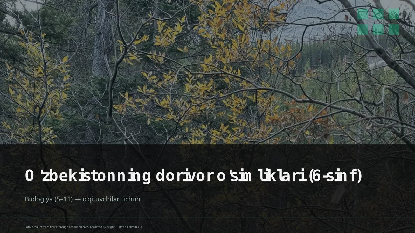 O'zbekistonning dorivor o'simliklari (6-sinf)