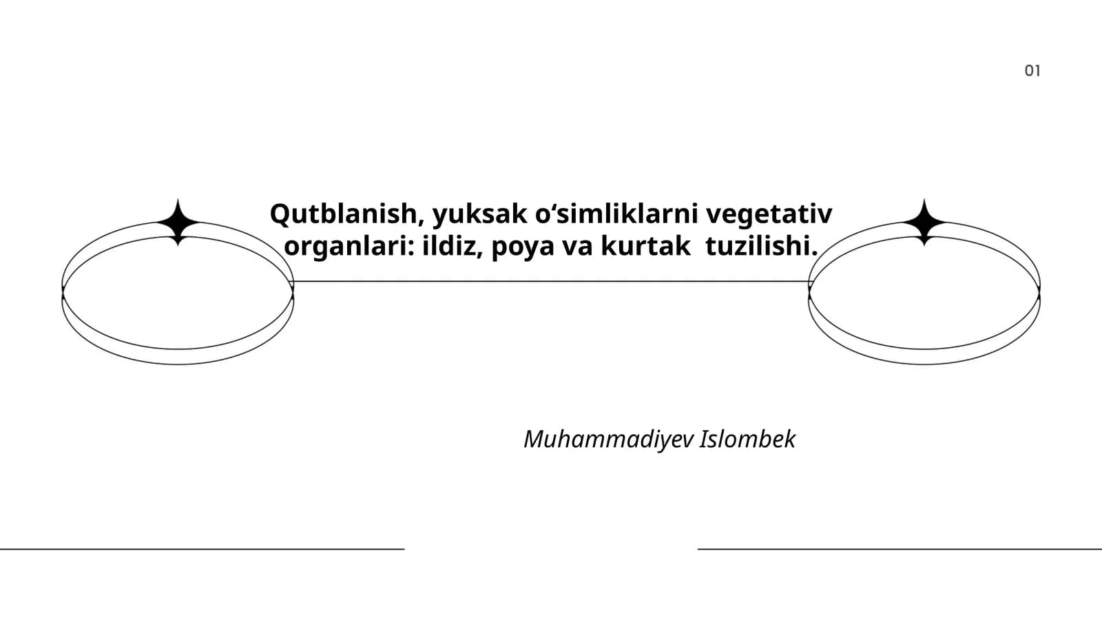 Qutblanish, yuksak o‘simliklarni vegetativ organlari: ildiz, poya va kurtak tuzilishi