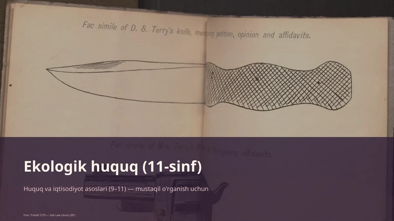 Ekologik huquq (11-sinf)